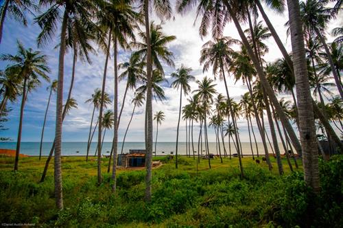 Bãi Biển Rạng Mũi Né